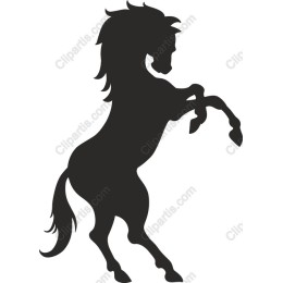 Majestic Rearing Horse