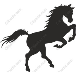 Stunning Rearing Horse