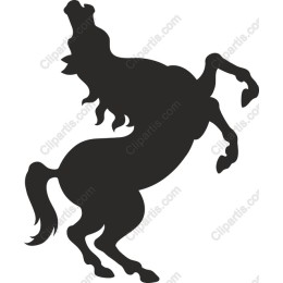 Bold Rearing Horse