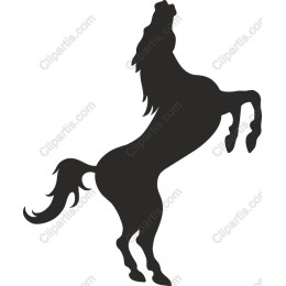 Majestic Rearing Horse