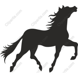 Majestic Horse