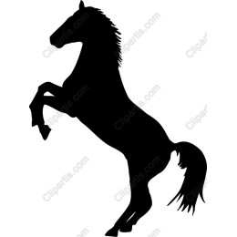 Majestic Rearing Horse