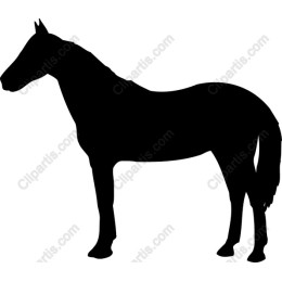 Elegant Horse