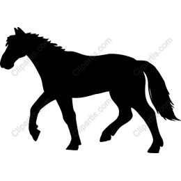 Elegant Horse