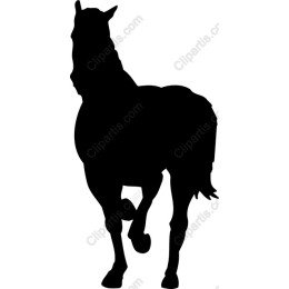 Majestic Horse