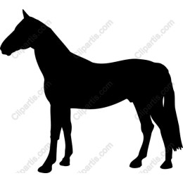 Elegant Horse