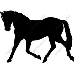 Elegant Horse