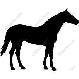 Majestic Horse
