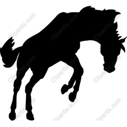 Majestic Horse