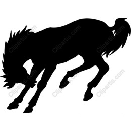 Dynamic Horse