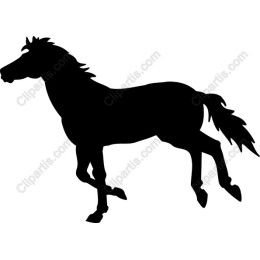 Elegant Horse