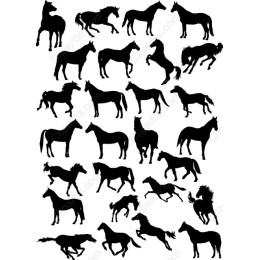 Horses Bundle