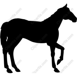 Horse work