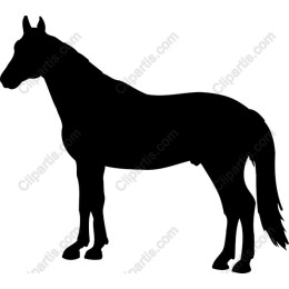 Elegant Horse