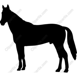 Majestic Horse