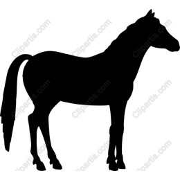 Elegant Horse