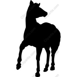 Majestic Horse