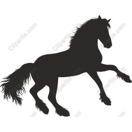 Majestic Horse