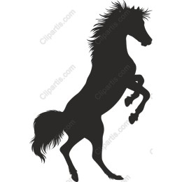 Stunning Rearing Horse