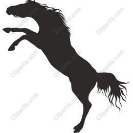 Majestic Rearing Horse