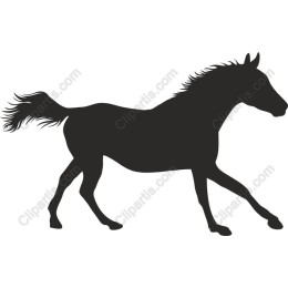 Trotting Horse