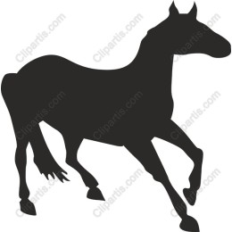 Elegant Horse