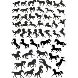 Horse Bundle - Elegants