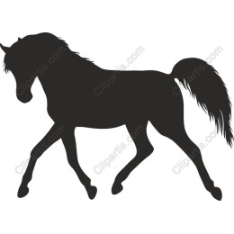 Elegant Black Horse