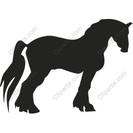 Majestic Horse