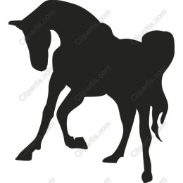 Elegant Horse