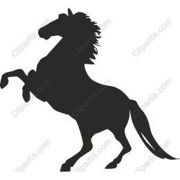 Rearing Horse