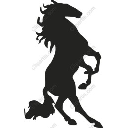 Majestic Rearing Horse