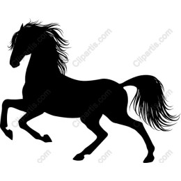 Majestic Horse