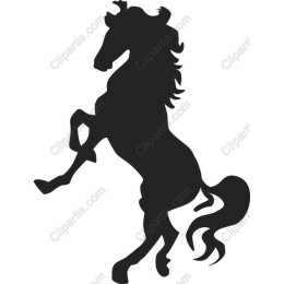 Majestic Rearing Horse
