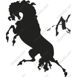 Majestic Rearing Horse