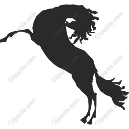 Majestic Horse