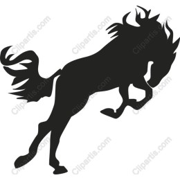 Dynamic Horse