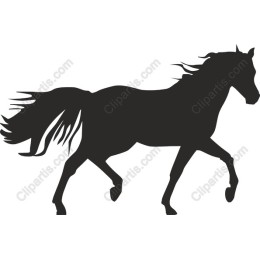 Majestic Horse