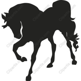 Majestic Horse