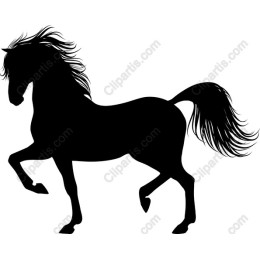 Majestic Horse