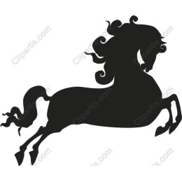 Elegant Horse