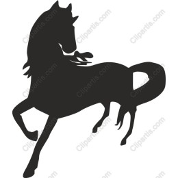 Majestic Horse