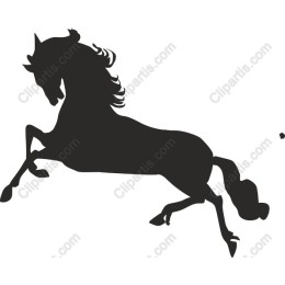 Majestic Rearing Horse