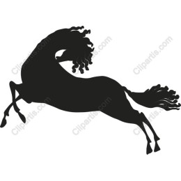 Black Stallion