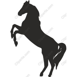 Majestic Rearing Horse