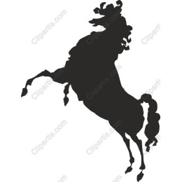 Majestic Rearing Horse