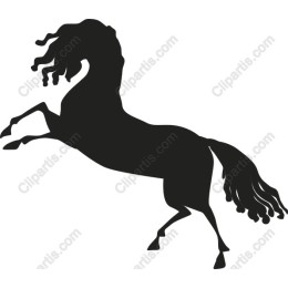 Elegant Rearing Horse