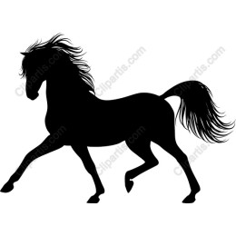 Black Horse