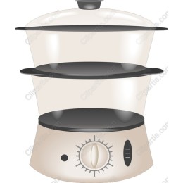 Modern Food Steamer