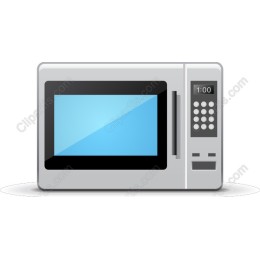 Modern Microwave Oven